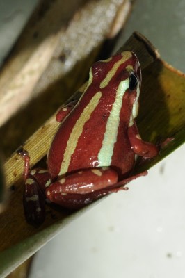 DSC_6440.JPG