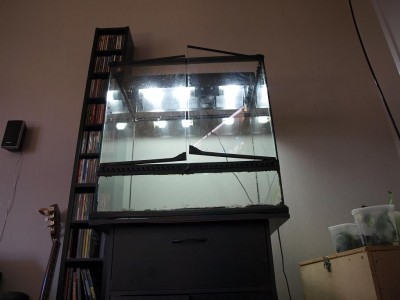 Terrariet
