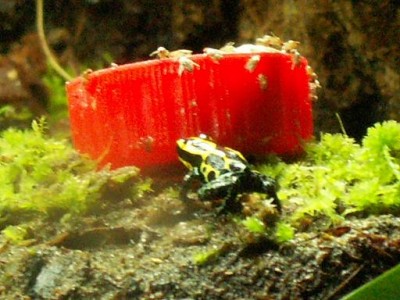 PICT0016.JPG