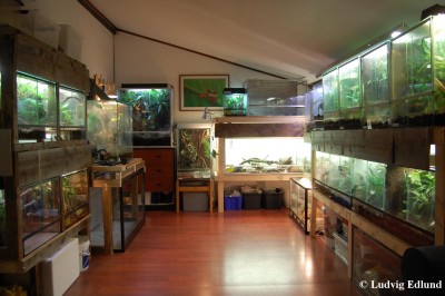 Terrarierumhela.jpg