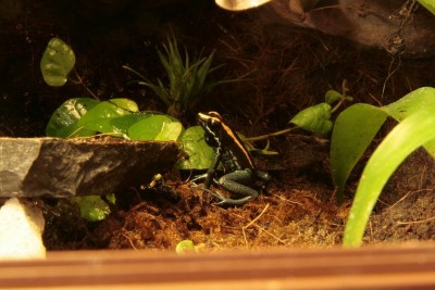 _MG_9480.JPG