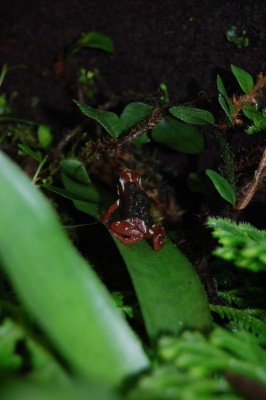 DSC_0165.JPG