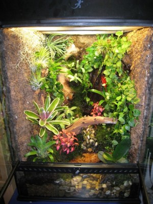 Exo Terra 45x45x60