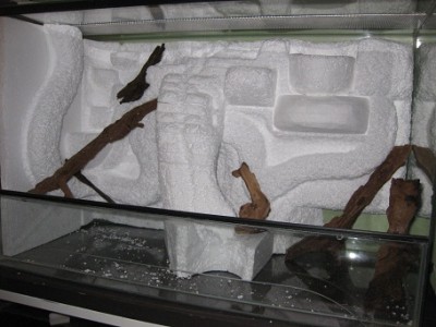 IMG_9730.jpg