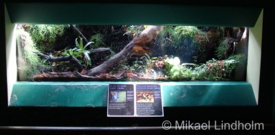 London Zoo_4.jpg