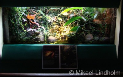 London Zoo_6.jpg