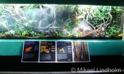 London Zoo_8.jpg