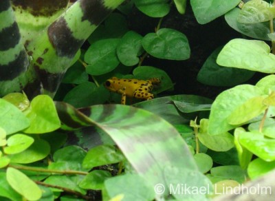 London Zoo_9.jpg
