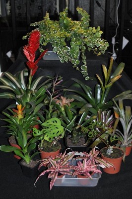 DSC_1222.jpg