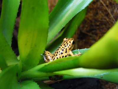 2008_1212nu0066.JPG