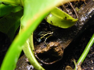 2008_1213vent0009.JPG
