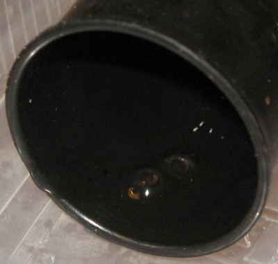 Ägg 006-1.jpg