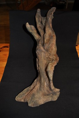 DSC_0434.JPG