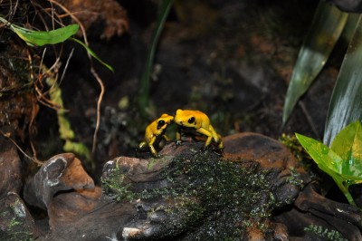 DSC_1172.JPG