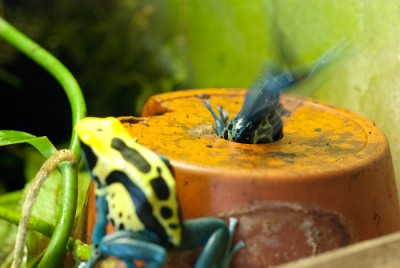 L0727_410.JPG