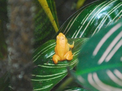 Image00002.jpg