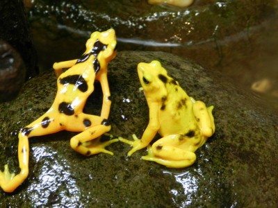 Image00004.jpg