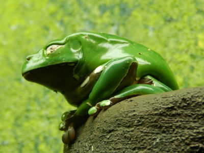 Image00010.jpg
