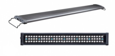 Led.jpg