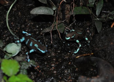 DSC_1947.JPG