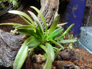 DSCN0004.JPG