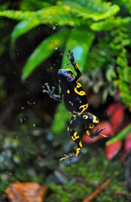 DSC_3513.JPG