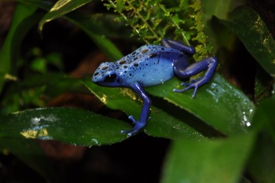 DSC_0379.JPG