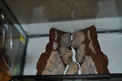 DSC_1016.JPG