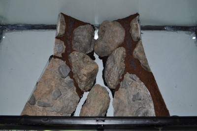 DSC_0391.JPG