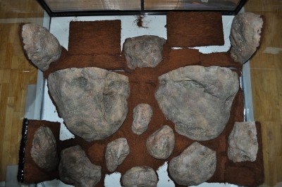 DSC_0152.JPG