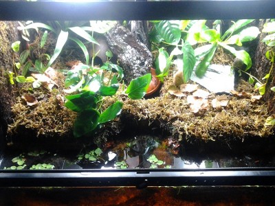 20121011_174251.jpg