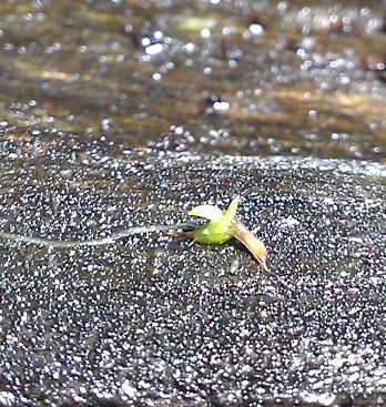 PhotoCrop_2012-10-31_03-07-38-.jpg