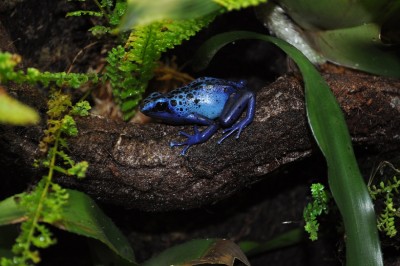DSC_0169.JPG