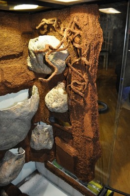 DSC_01661.JPG
