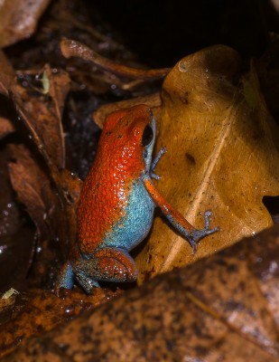 _IGP8581.jpg