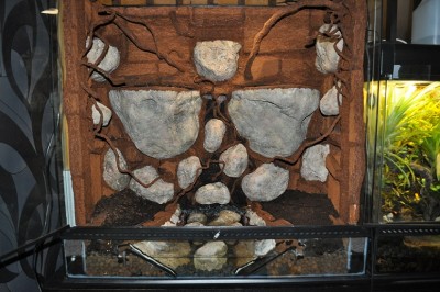 DSC_0170.JPG
