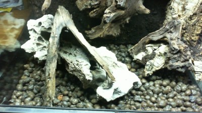 2013-02-22 22-45-02.747.jpg