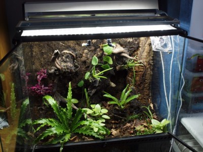 terrariet.JPG