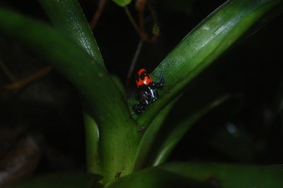 tn_DSC_0255.JPG