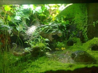 20120602080_Small.JPG