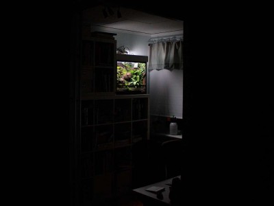 Terrarium_aug4.jpg