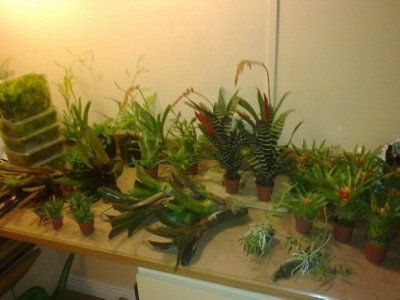 20131002.jpg
