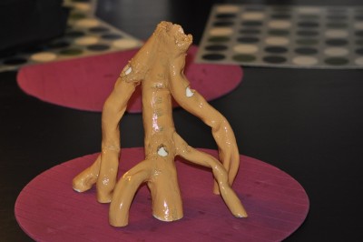 DSC_0248.JPG