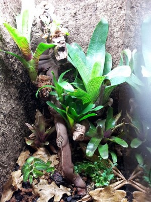20131019_204442.jpg