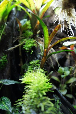moss28okt.jpg