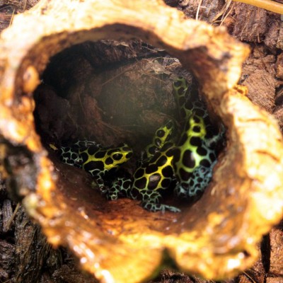 IMG_1463-001.JPG