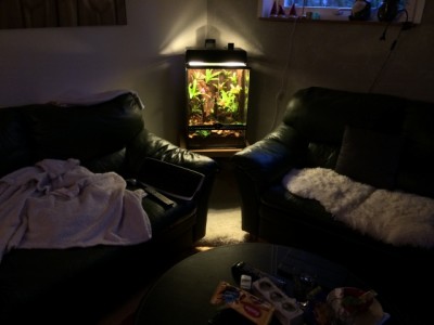 På plats i vardagsrummet