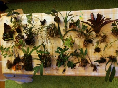 20140401_200116 (600x450).jpg