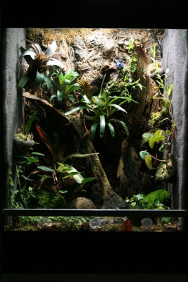 terrariet_helbild.jpg