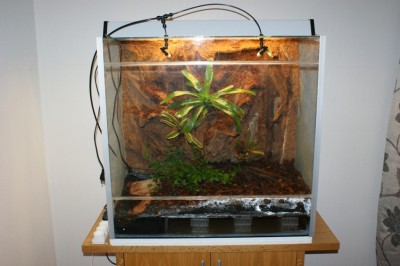 Nystartat terrarium